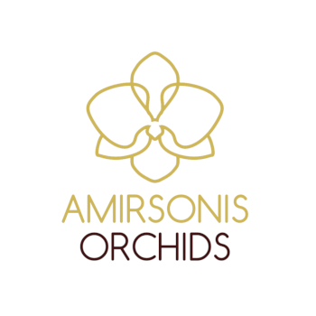 Amirsonis Orchids